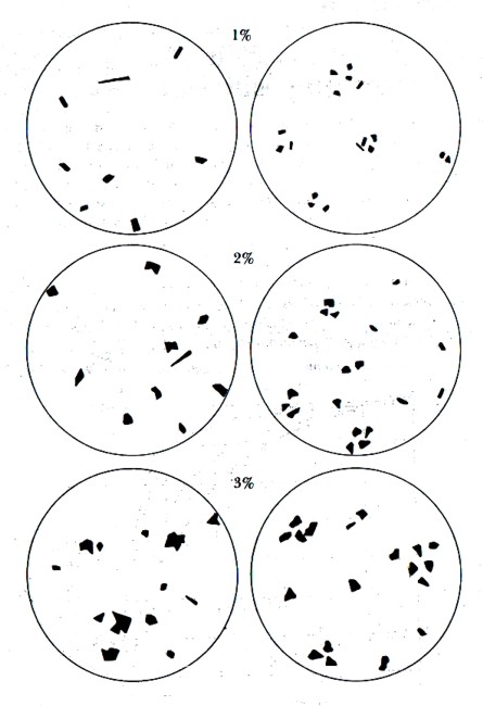 Classification Diagram 9.jpg