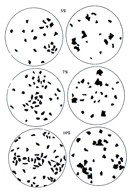 Classification Diagram 10.jpg