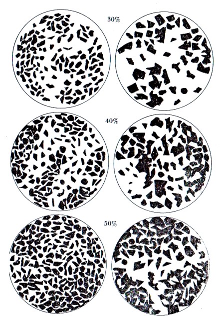 Classification Diagram 7.jpg