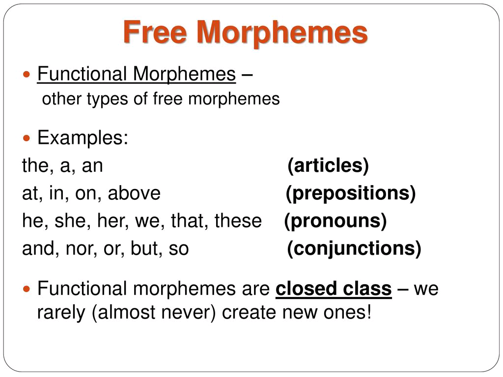 Free+Morphemes+Functional+Morphemes+%E2%80%93+Examples%3A+the%2C+a%2C+an+%28articles%29.jpg