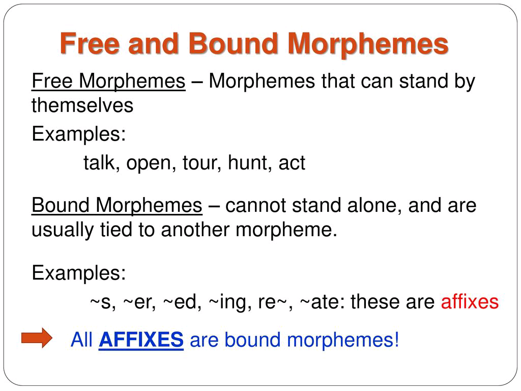 Free+and+Bound+Morphemes.jpg